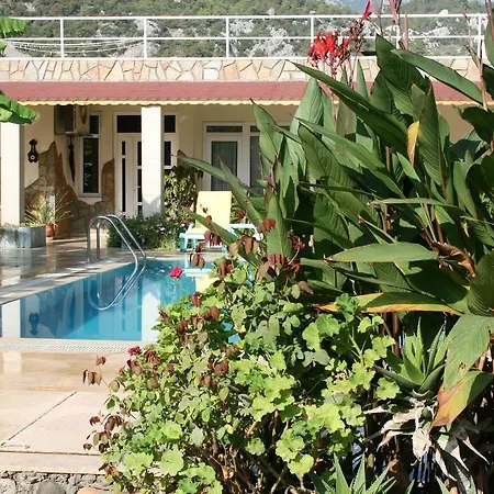 Holiday park Windmolen Apart Bungalows