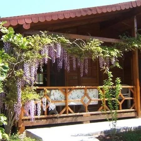 Windmolen Apart Bungalows Holiday park
