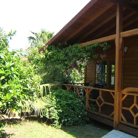 Holiday park Windmolen Apart Bungalows