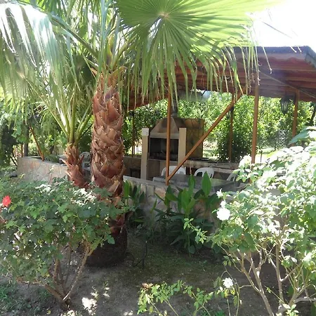 Windmolen Apart Bungalows Holiday park