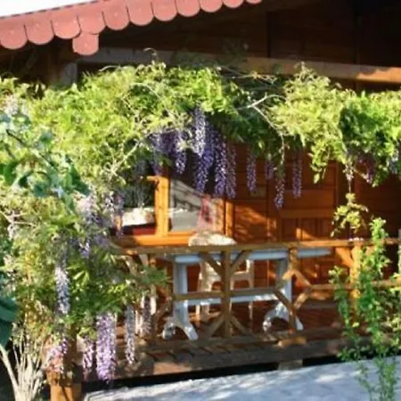 Windmolen Apart Bungalows Tatil parkı