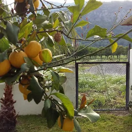 Tatil parkı Windmolen Apart Bungalows Çıralı